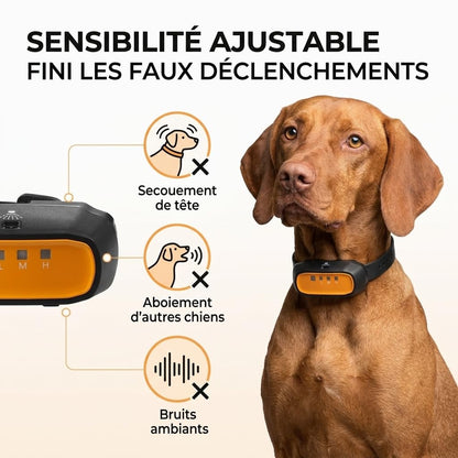 Collier Anti-Aboiement Spray Citronnelle pour Chien – Automatique & Télécommandé, Méthode Douce sans Choc, Rechargeable IPX65, 150m – Petits et Grands Chiens