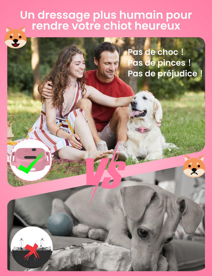 DOGLinsen Collier de Dressage pour Chien sans Choc, Portée de 1000m, 4 Modes (Lumière, Son, Vibration, Son+Vibration) - Adapté aux Chiens de Toutes Tailles (Rose)