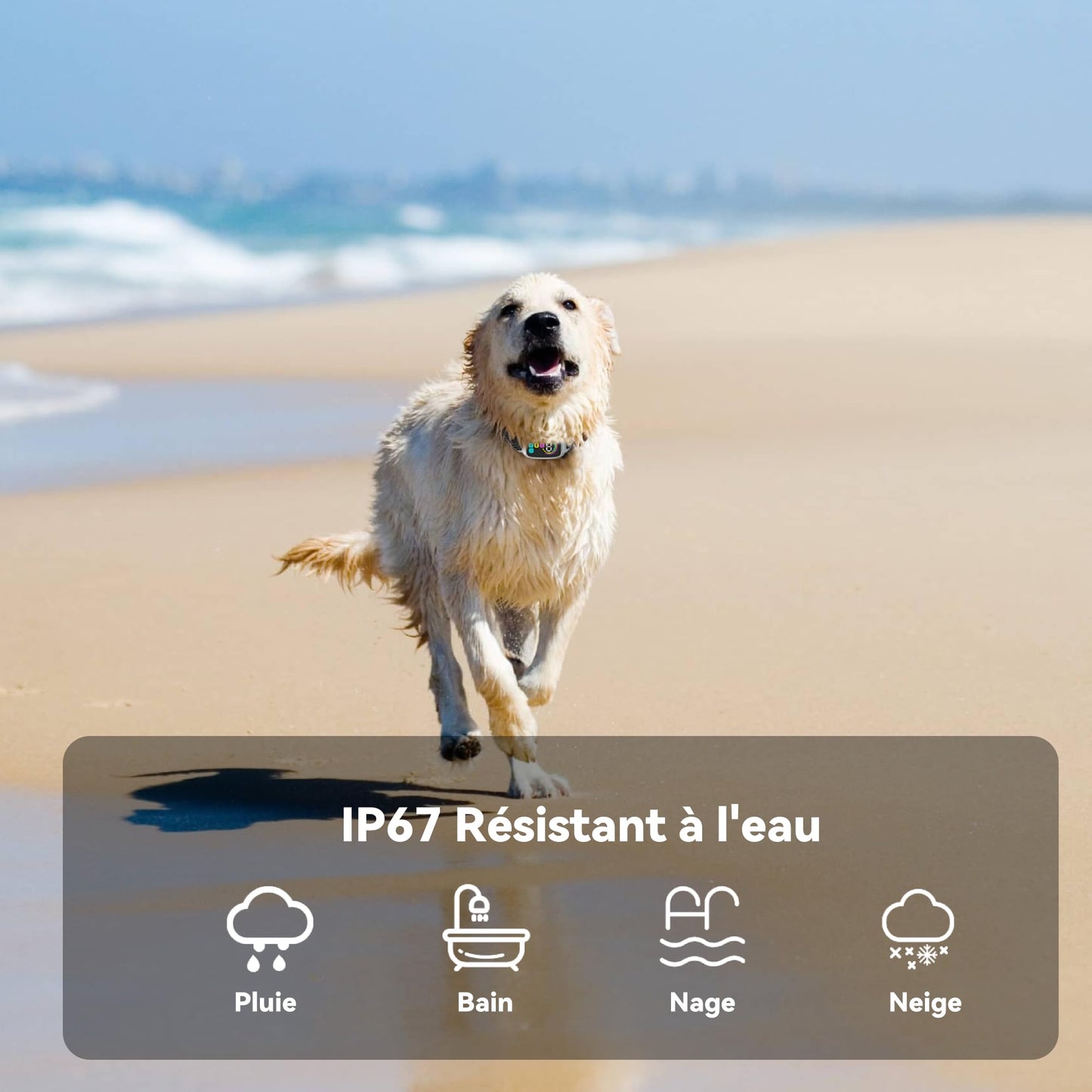 Meloive Collier Anti Aboiement Chien, Conformes à La Nouvelle Loi 2025-Détection Intelligente des Aboiements, 4 Modes Son/Vibration/Forte Vibration, Rechargeable pour Petit et Gros Chien, Blanc