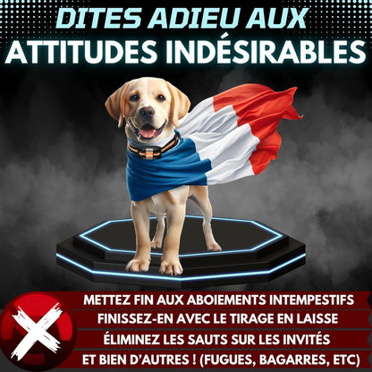 PAWPRO Collier de Dressage, Portée de 3km, Mode Lumière Nocturne, Guide de Dressage Inclus, 124 Niveaux d’Entraînement, BIP Vibration Choc, Adapté à Tous Les Chiens, Étanche, Marque FR (2 Colliers)