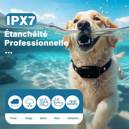 Collier Anti Aboiement Chien, Automatique Collier de Dressage pour Détection Intelligente des Aboiements, Ultrasons/Bip/Vibration, Imperméable IPX7, Rechargeable Anti Aboiement Chien Petit Moyen Grand