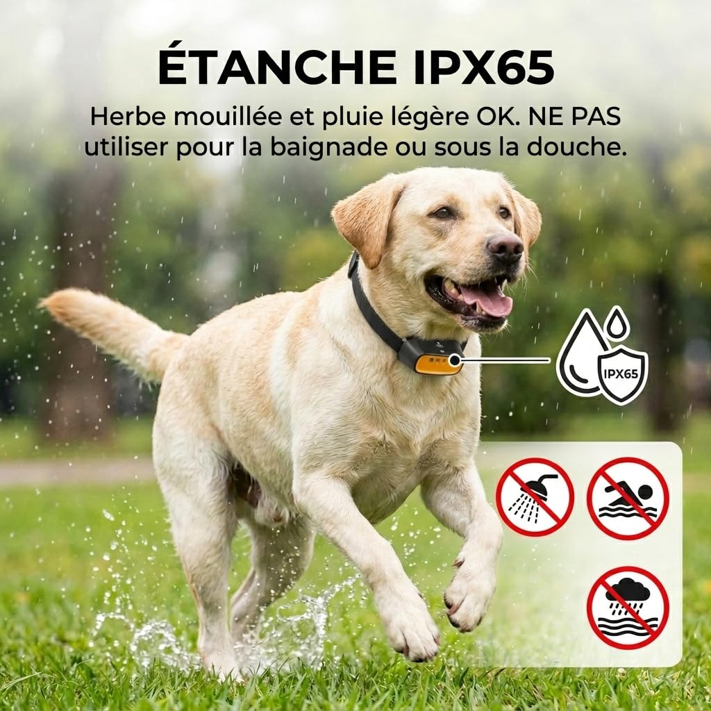 Collier Anti-Aboiement Spray Citronnelle pour Chien – Automatique & Télécommandé, Méthode Douce sans Choc, Rechargeable IPX65, 150m – Petits et Grands Chiens