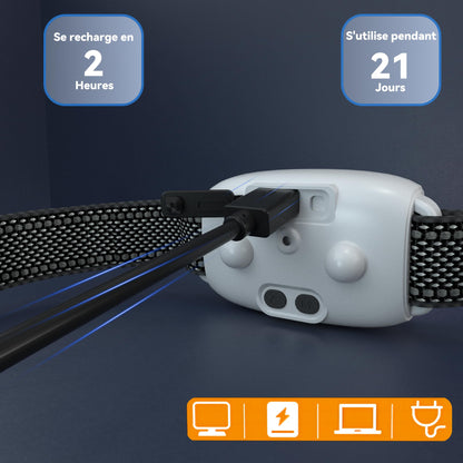 Meloive Collier Anti Aboiement Chien, Conformes à La Nouvelle Loi 2025-Détection Intelligente des Aboiements, 4 Modes Son/Vibration/Forte Vibration, Rechargeable pour Petit et Gros Chien, Blanc