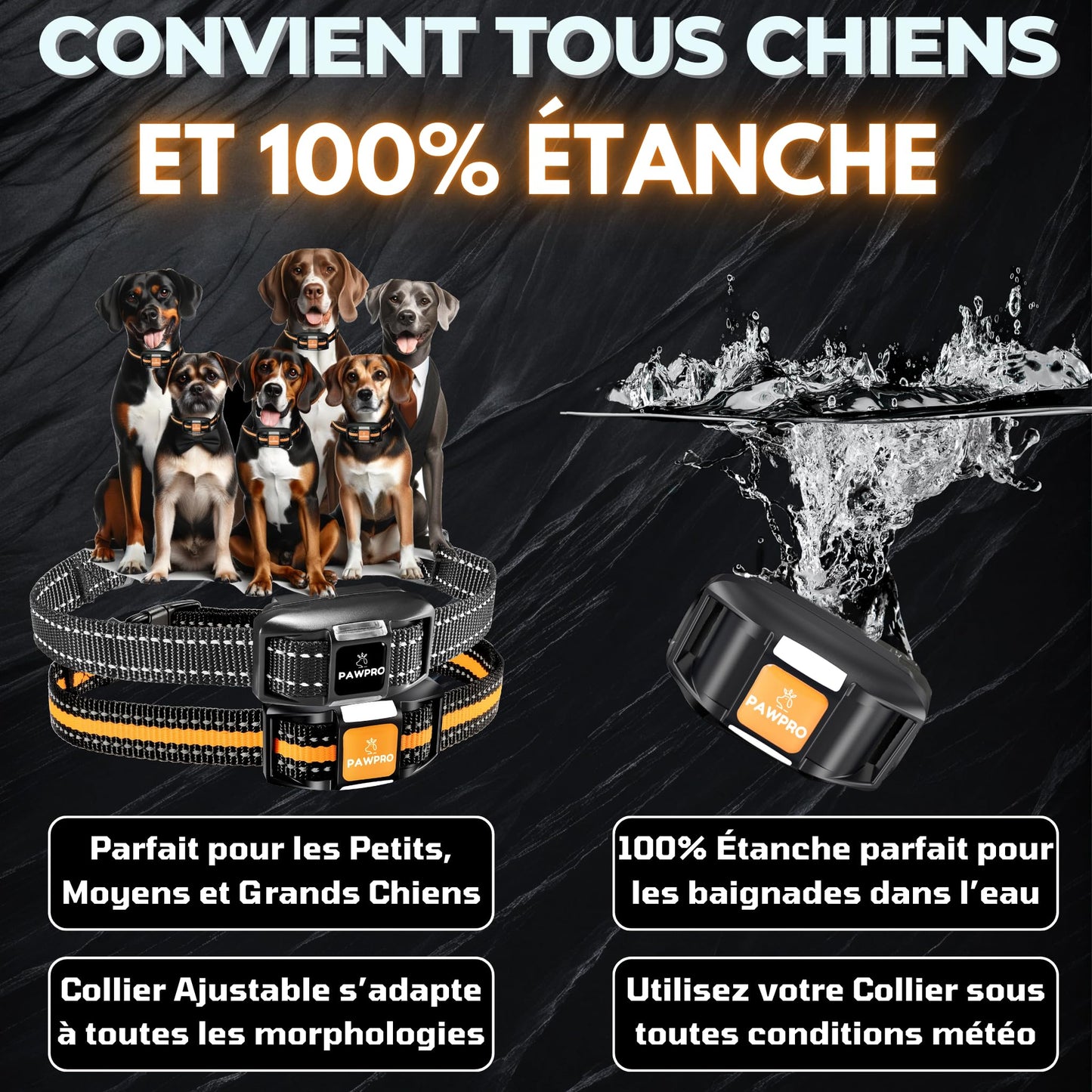 PAWPRO Collier de Dressage, Portée de 3km, Mode Lumière Nocturne, Guide de Dressage Inclus, 124 Niveaux d’Entraînement, BIP Vibration Choc, Adapté à Tous Les Chiens, Étanche, Marque FR (2 Colliers)