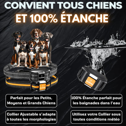 PAWPRO Collier de Dressage, Portée de 3km, Mode Lumière Nocturne, Guide de Dressage Inclus, 124 Niveaux d’Entraînement, BIP Vibration Choc, Adapté à Tous Les Chiens, Étanche, Marque FR (2 Colliers)