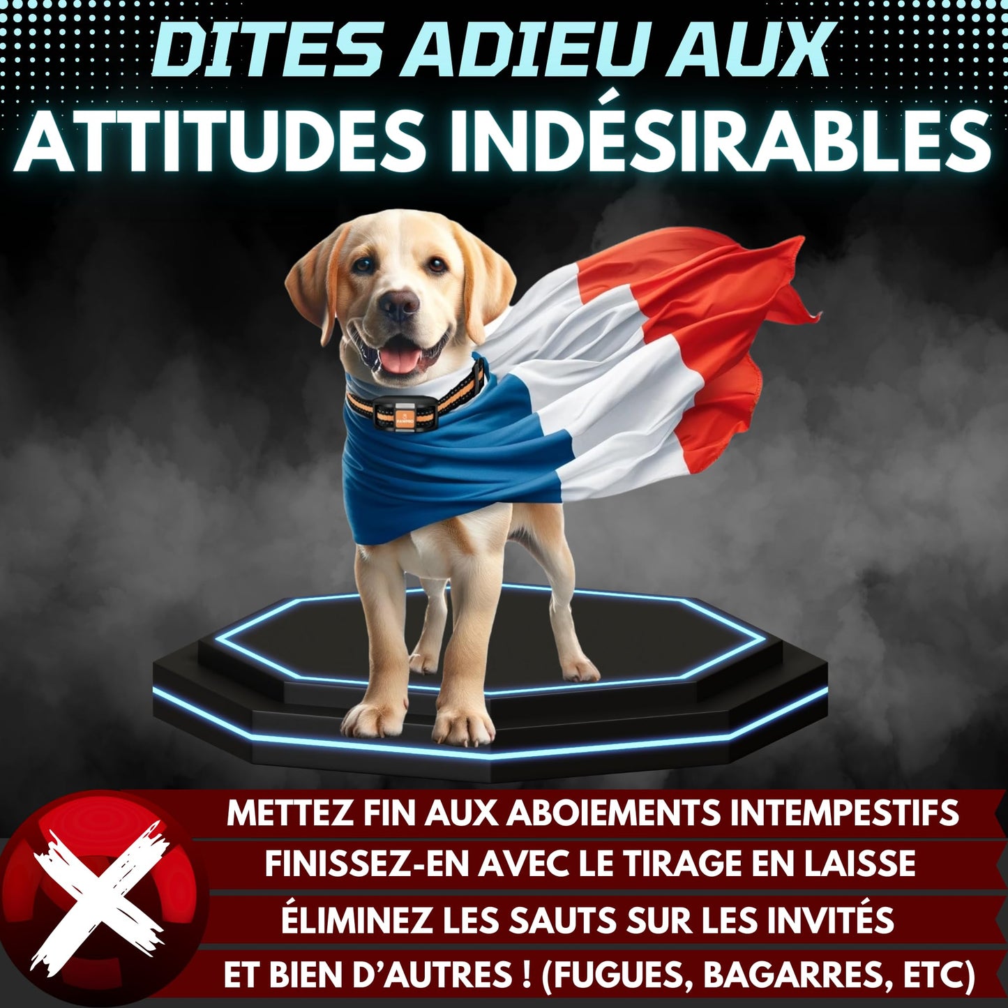 PAWPRO Collier de Dressage, Portée de 3km, Mode Lumière Nocturne, Guide de Dressage Inclus, 124 Niveaux d’Entraînement, BIP Vibration Choc, Adapté à Tous Les Chiens, Étanche Rechargeable, Marque FR