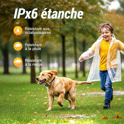 Jewyow Collier Anti Aboiement Chien, Détection Intelligente des Aboiements,3 Modes Beep/Vibration/Beep&Vibration, Étanche IP67, Affichage LED Intelligent, pour Petit et Gros Chien - Noir