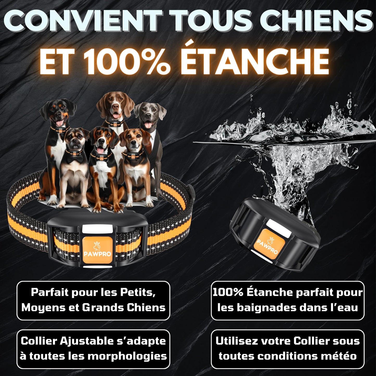 PAWPRO Collier de Dressage, Portée de 3km, Mode Lumière Nocturne, Guide de Dressage Inclus, 124 Niveaux d’Entraînement, BIP Vibration Choc, Adapté à Tous Les Chiens, Étanche Rechargeable, Marque FR