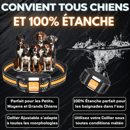 PAWPRO Collier de Dressage, Portée de 3km, Mode Lumière Nocturne, Guide de Dressage Inclus, 124 Niveaux d’Entraînement, BIP Vibration Choc, Adapté à Tous Les Chiens, Étanche Rechargeable, Marque FR