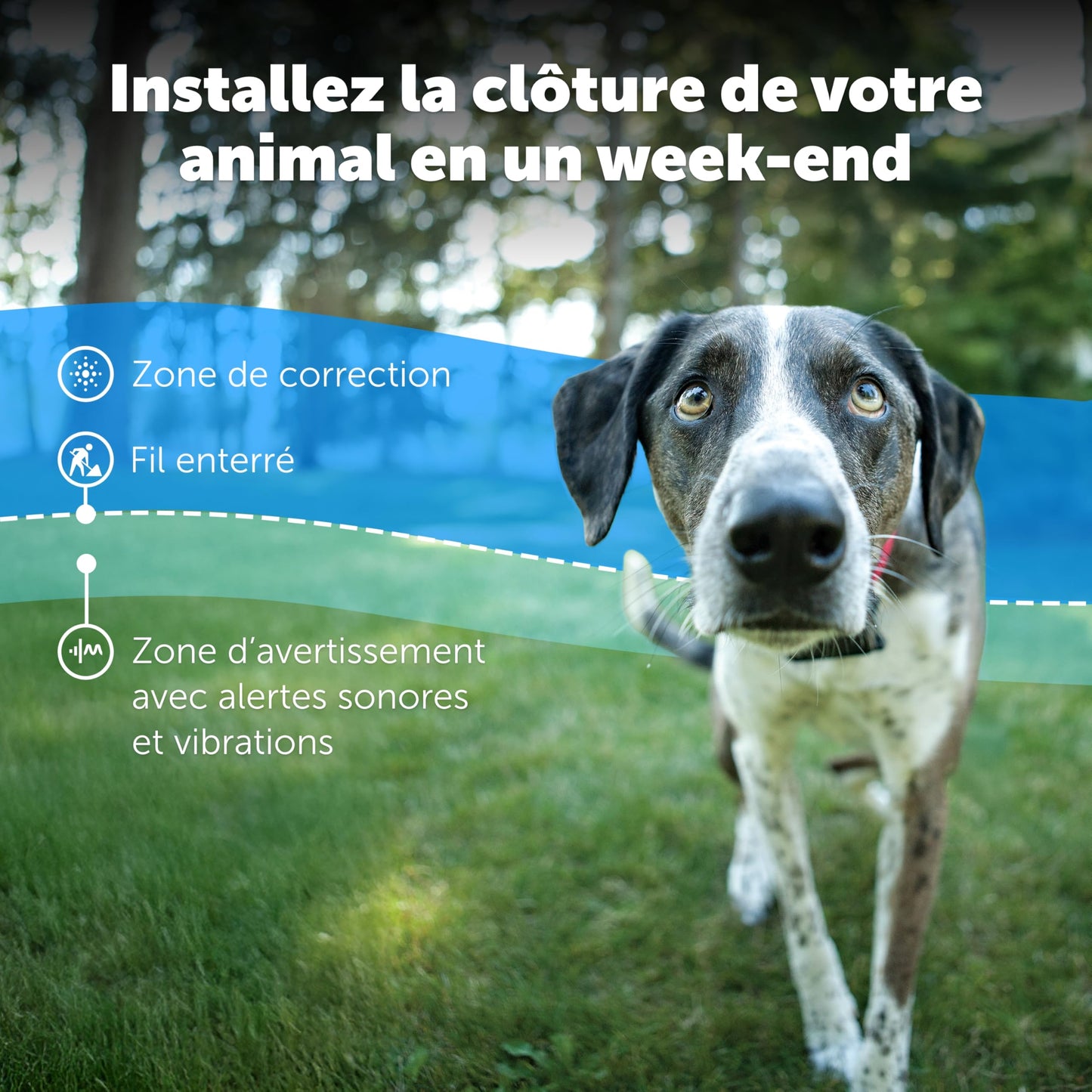PetSafe - Collier Récepteur pour Clôture Souterraine pour Chiens Têtus Étanche & À Piles, Collier Entraînement Invisible Réglable - pour Chiens De Plus De 6 Mois Pesant 3,6 Kg Et Plus