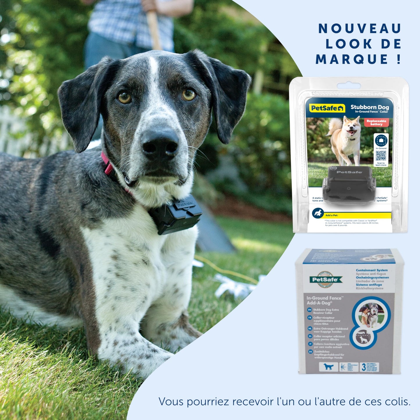 PetSafe - Collier Récepteur pour Clôture Souterraine pour Chiens Têtus Étanche & À Piles, Collier Entraînement Invisible Réglable - pour Chiens De Plus De 6 Mois Pesant 3,6 Kg Et Plus