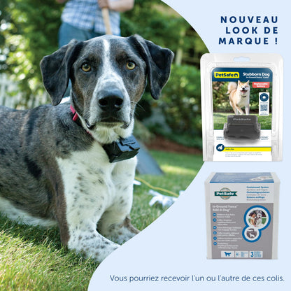 PetSafe - Collier Récepteur pour Clôture Souterraine pour Chiens Têtus Étanche & À Piles, Collier Entraînement Invisible Réglable - pour Chiens De Plus De 6 Mois Pesant 3,6 Kg Et Plus